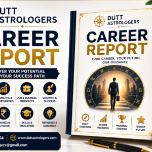 Career Report