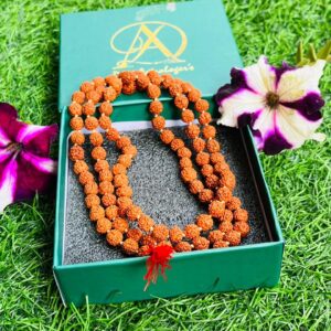 5 Mukhi Rudraksh Mala [10.MM]