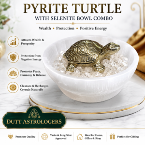 Pyrite Turtle With Selenite Bowl Combo