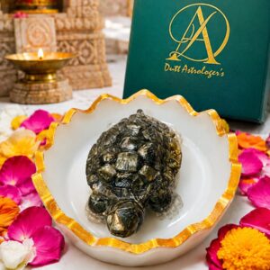 Pyrite Turtle With Selenite Bowl Combo