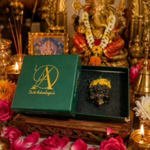 Dhan Yog Vastu Tortoise